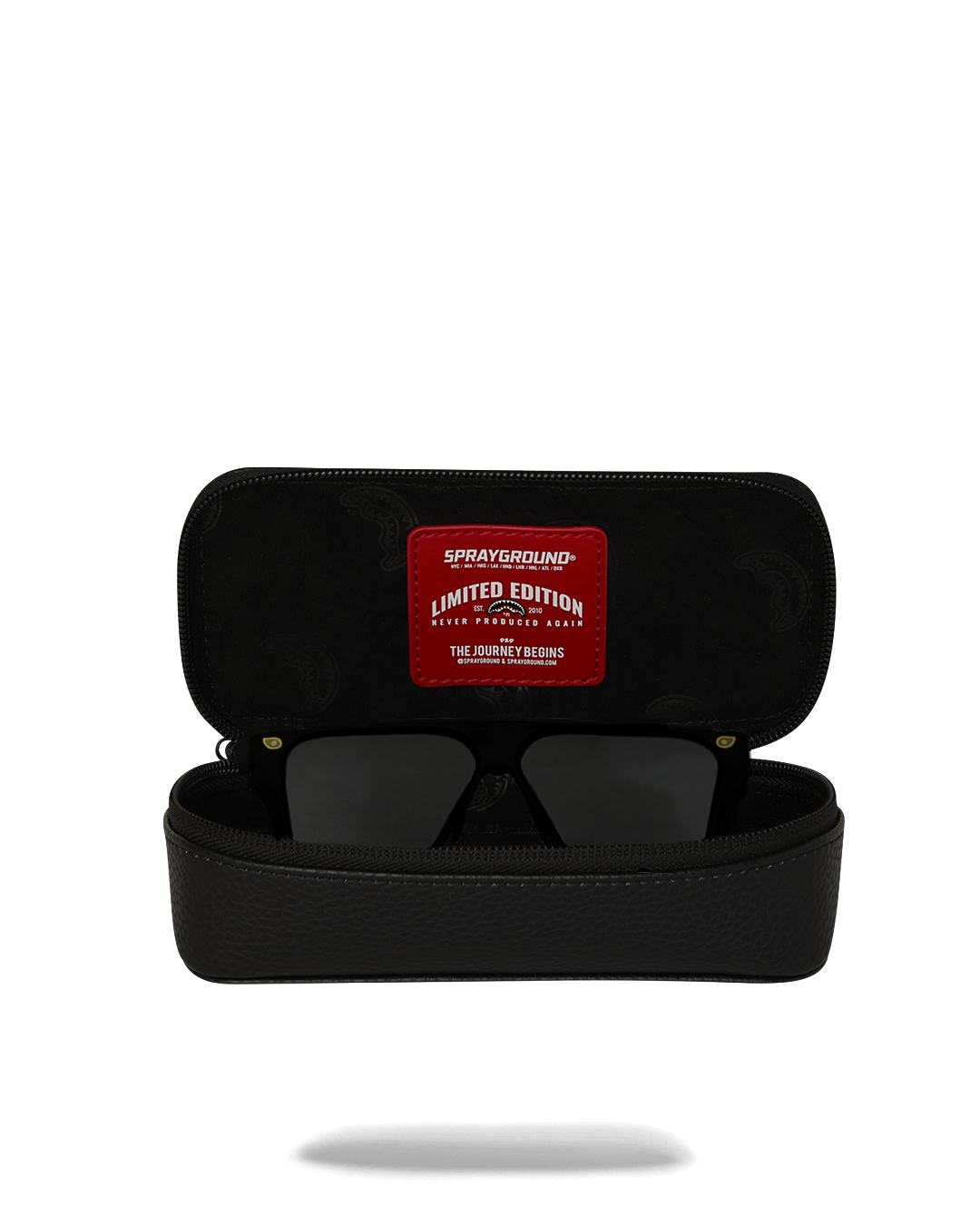 AMERICAN AIRLINES MAXIMUM ALTITUDE AVIATOR CASE
